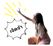 497813594