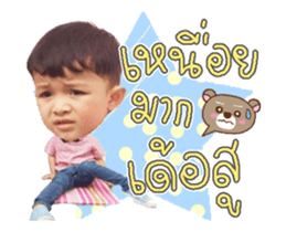 497828433