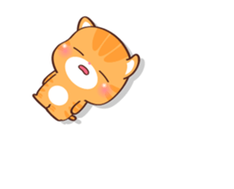 497833698