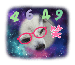 497854630
