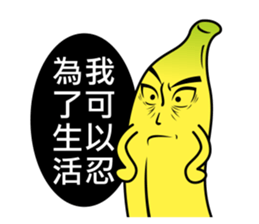 4978578
