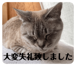 497863253