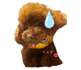 497867854