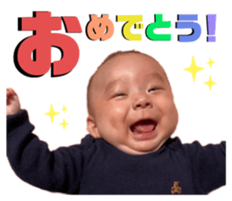 497877650