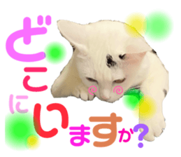 497882776