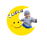 497885010