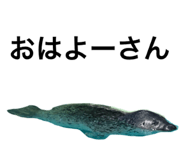 497885054