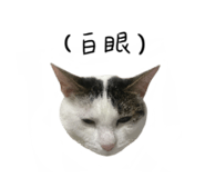 497900804