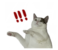 497900805