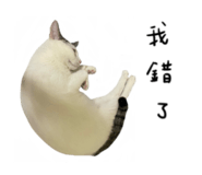 497900806