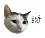497900809