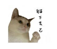 497900813