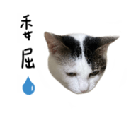 497900814