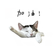 497900818