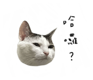 497900819