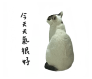 497900820