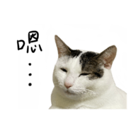 497900822
