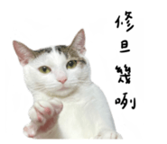 497900825