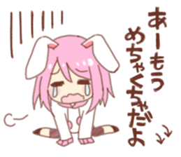 49803924