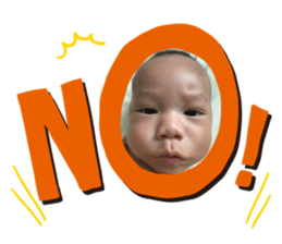 498048637