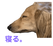 498087975