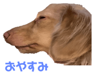 498087976