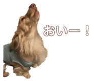 498087994