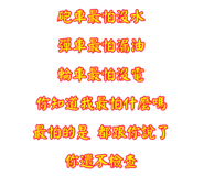 498090276