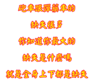 498090277