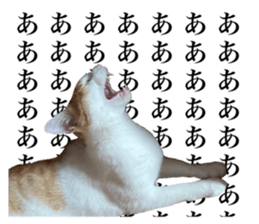 498093513