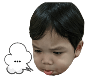 498110569
