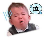 498182427