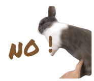 498187606