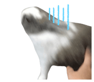 498187610