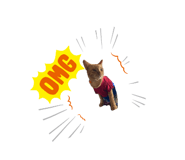 498201284