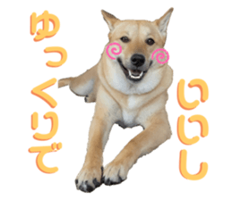 498240872
