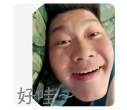 498337816