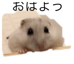 498339995