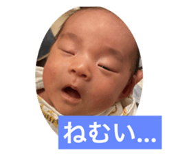 498355715