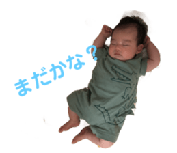 498356980