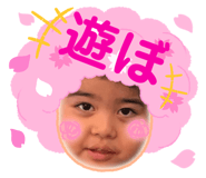 498368800