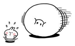 49837175