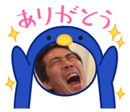 498376247