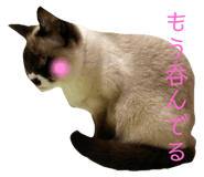 498383844
