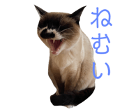 498383851