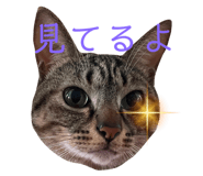 498383860