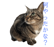 498383861