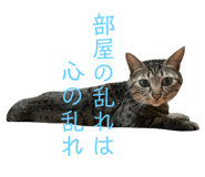 498383869