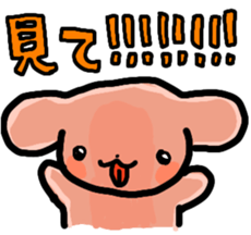 498416818