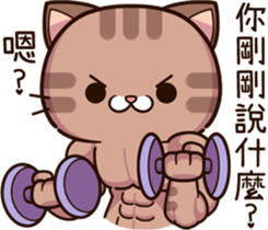 498440997